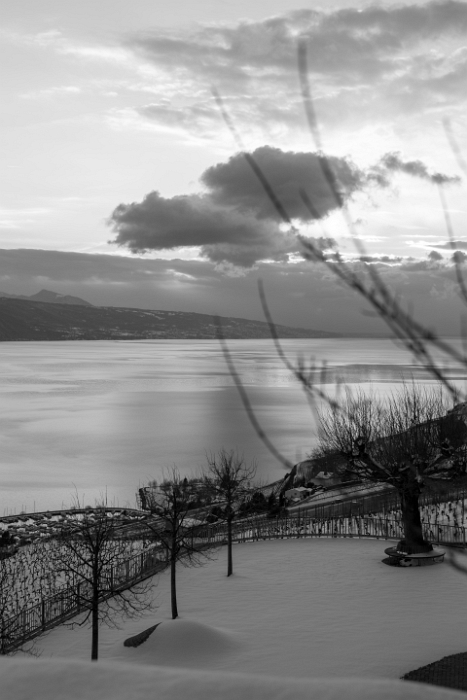 Fin de journée dans le Lavaux - 022